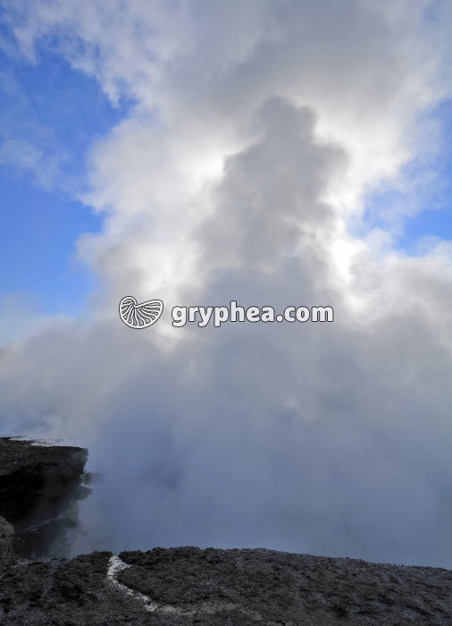 Vapeurs matinales (Yellowstone NP, USA) - gryphea.com